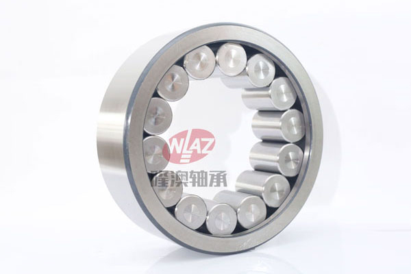 滿(mǎn)裝滾子SL1923系列